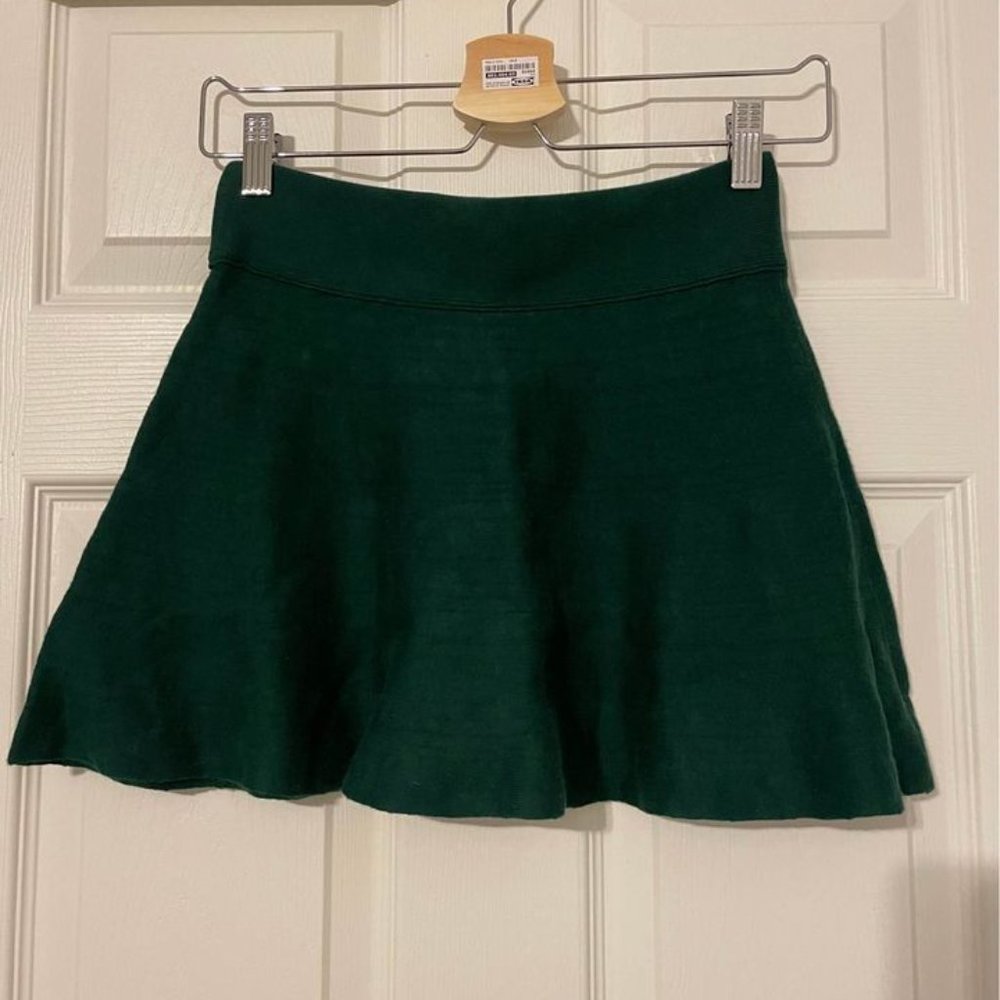 NWOT Aritzia Talula Vanderbilt Skirt